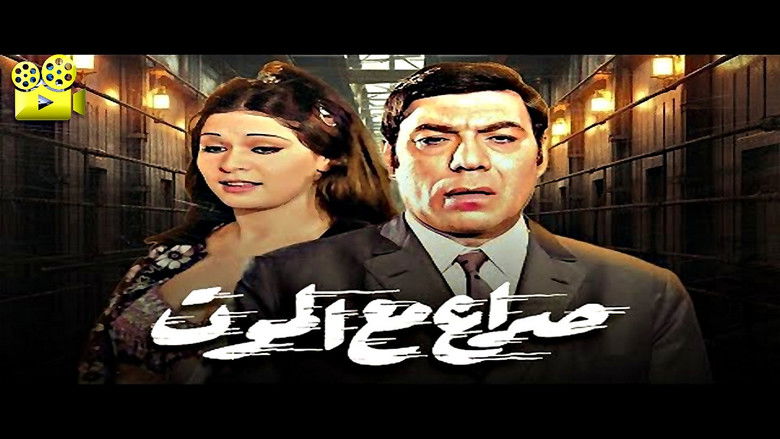 Gallery image from 7CXrPzOY8170n0Uxxg2pbaaXP6r.jpg