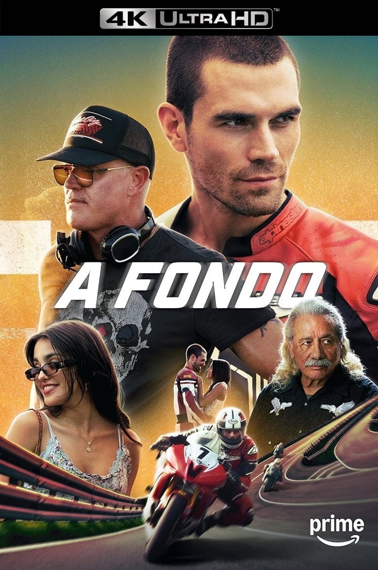 Póster la Película