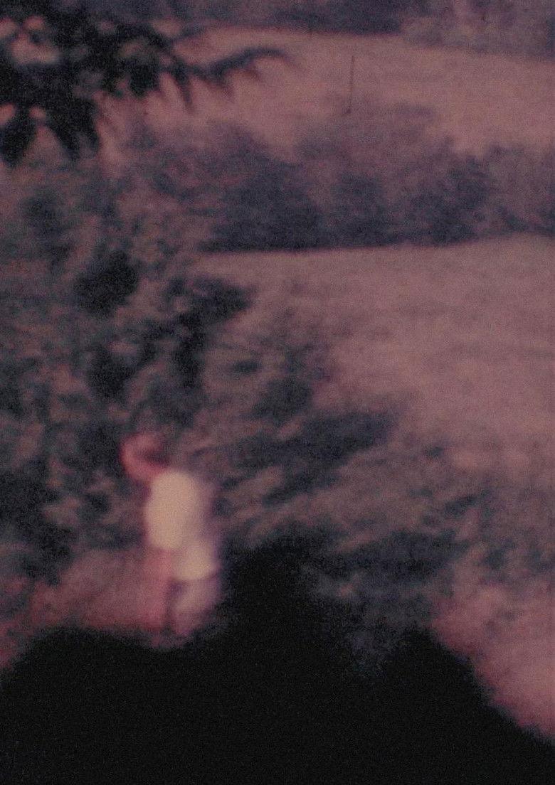 Imatge de Four Shadows