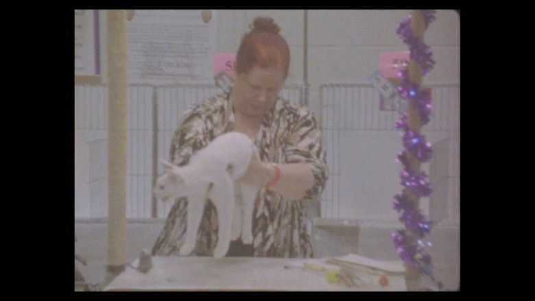 Gallery image from 7ERzVHuii2z4ZhaBEcicAfSBzlu.jpg