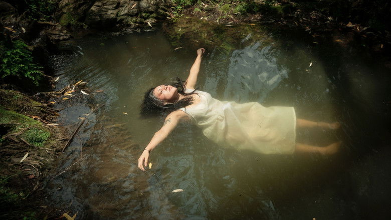 Imatge de Temer de Nadie