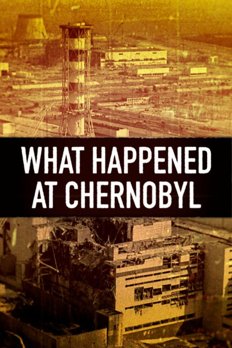 Official poster for What Happened at...?