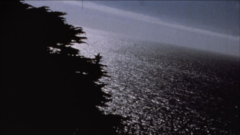 Gallery image from 7F8Uir55auKqHfJVbLmFlNCvjdN.jpg