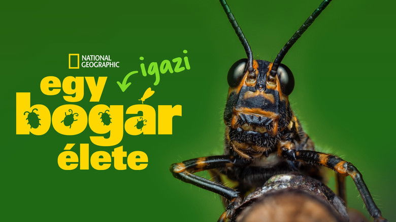 Gallery image from 7FEe4ahRHqbTPJ21gvyZ1SG3XaG.jpg