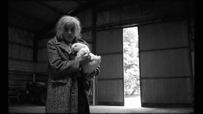 Gallery image from 7FQH67wYRbW4F4YnzBVU4nBga9a.jpg