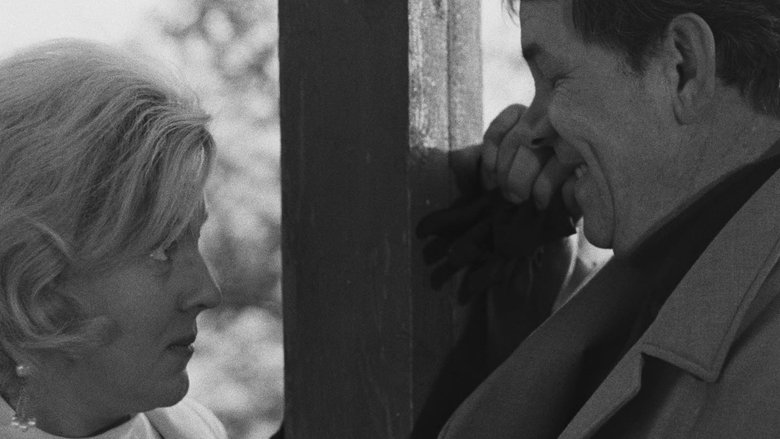 Gallery image from 7G3bdvDhL91J0JL6kt7xfya41H1.jpg