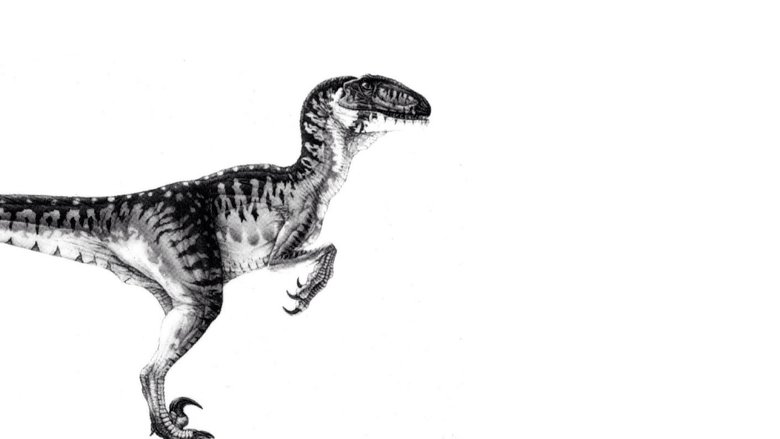 jurassic park 3 full movie online 123movies jurassic park 3 full movie online 123movies