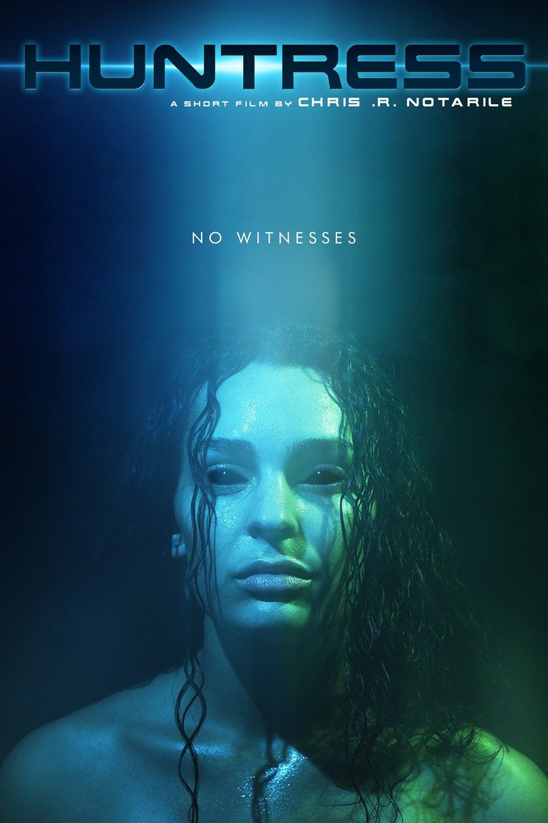 Huntress main poster
