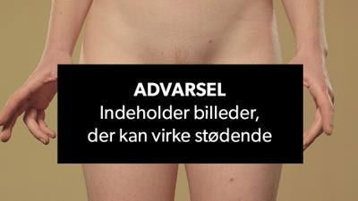 Still image for Mig og min pik/fisse season 1 episode 10: Episode 10