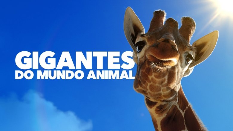 Gallery image from 7HQEaEfAORR342zN75EiZ3a9v3r.jpg