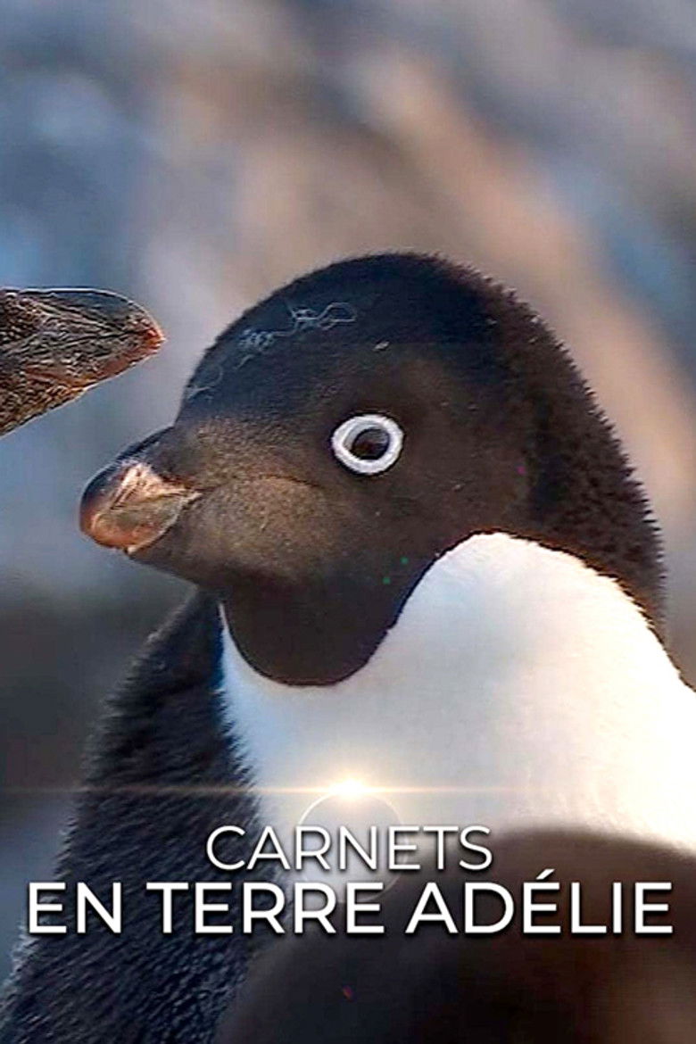 Imatge de Carnet de Terre Adélie
