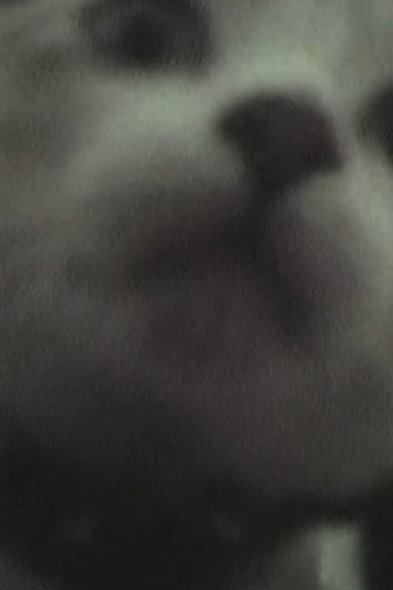 Imatge de 木陰にて・・・