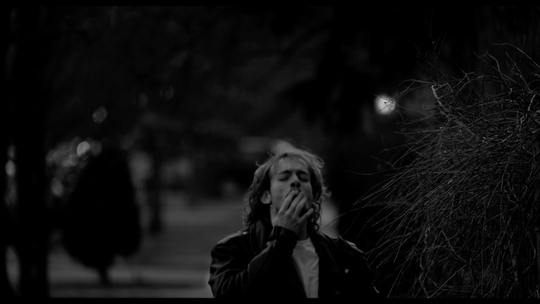 Palliative (2025)