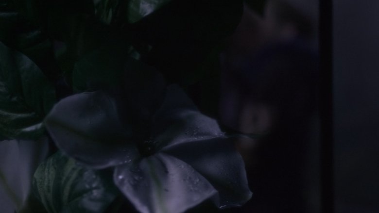 Gallery image from 7INH6RsPvc5Yyqegb6wip0rSEHp.jpg