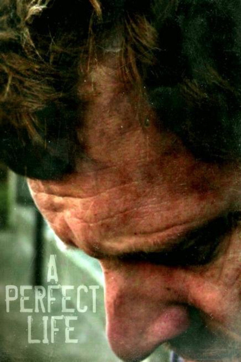 A Perfect Life background