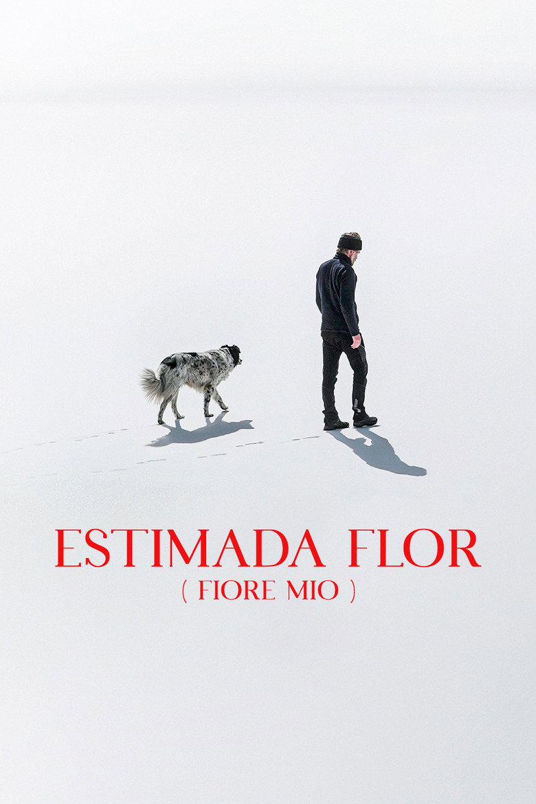 Imatge de Estimada flor