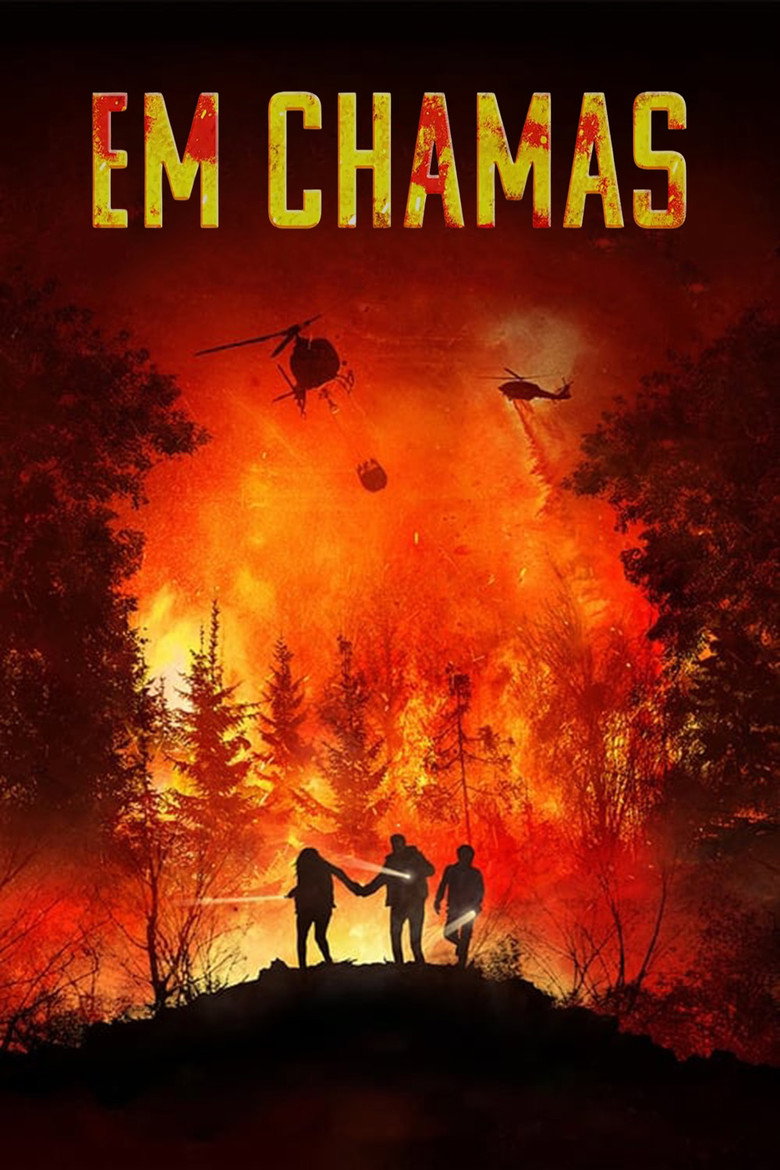 Póster la Película