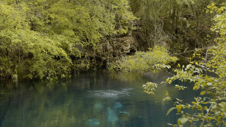 Cave Diving galeri 1