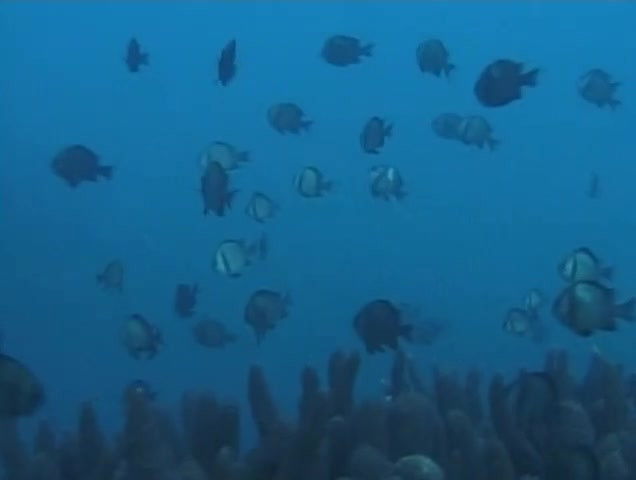 Still image for Legend of the Heavenly Stones season 1 episode 7: Episode 7 Still image for Legend of the Heavenly Stones season 1 episode 7: Episode 7