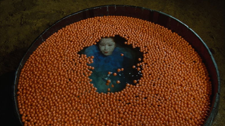 Image d'arrière-plan 10 du film Brumes de Chaleur