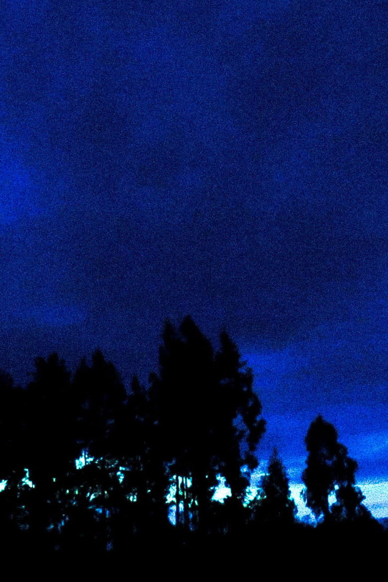 Imatge de Mirando al Sur