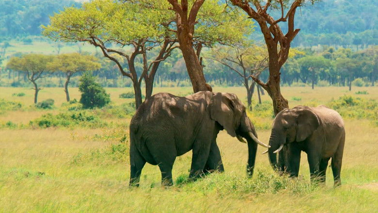 Still image for Mâles vs Femelles season 1 episode 3: Episode 3