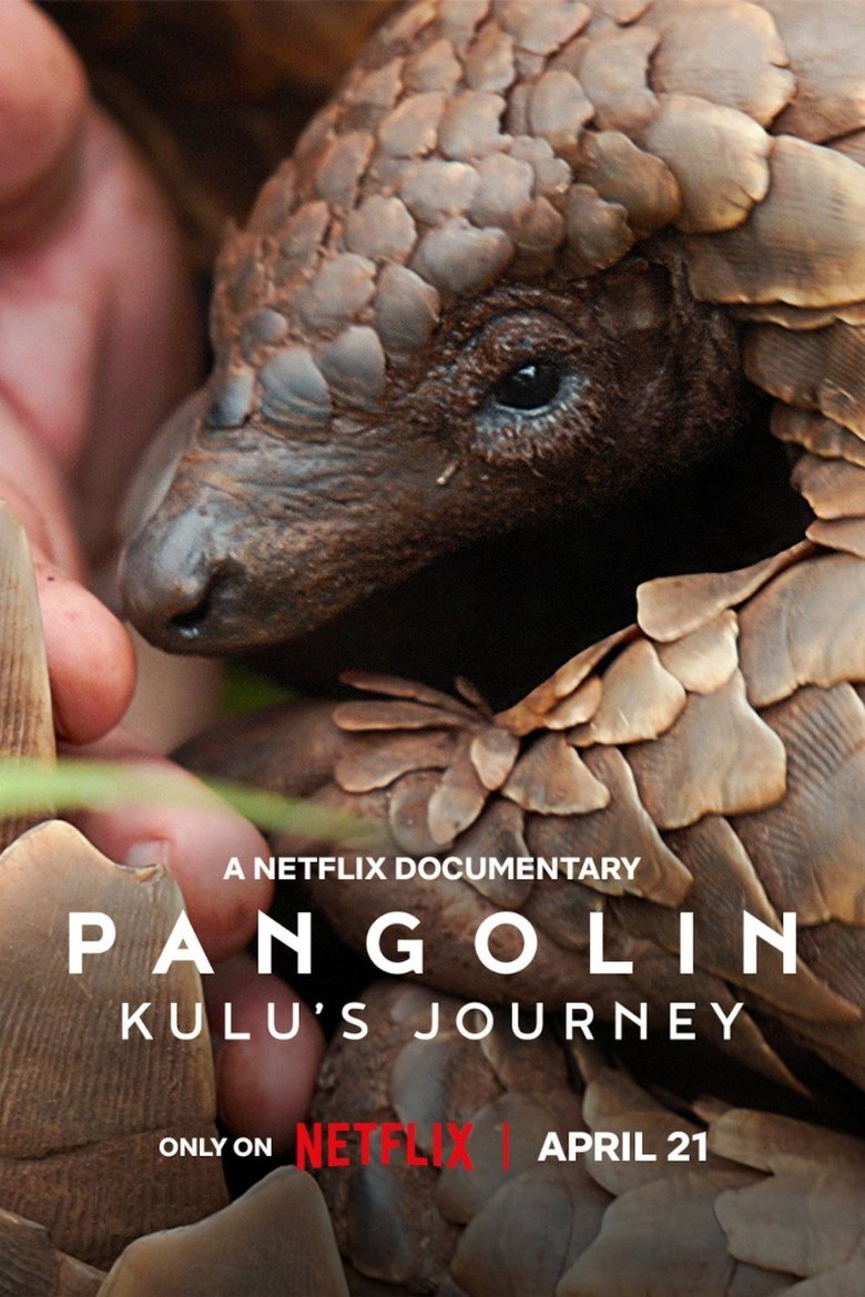Pangolin: Kulu's Journey main poster