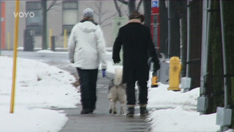 Still image for Storage Wars: Northern Treasures season 1 episode 35: Brawl in the Family