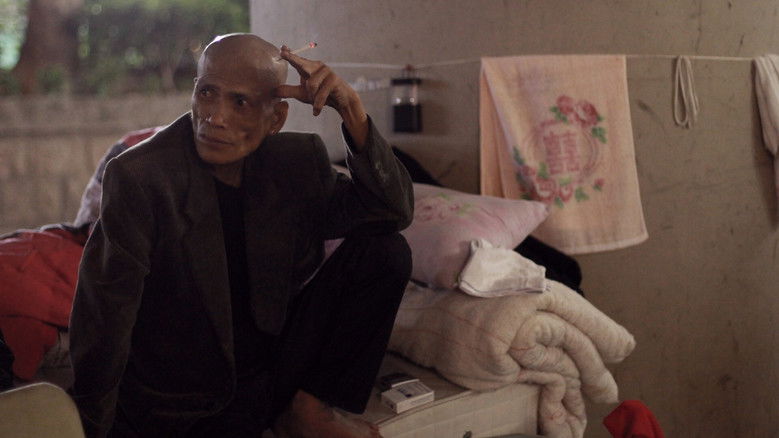 Gallery image from 7L9EFETMLXMbf9T0hDJds9l9oGD.jpg