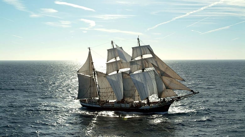 Windstärke 8 – Das Auswandererschiff 1855