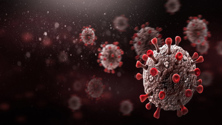 Covid-19 Outbreak: Minute by Minute image 1