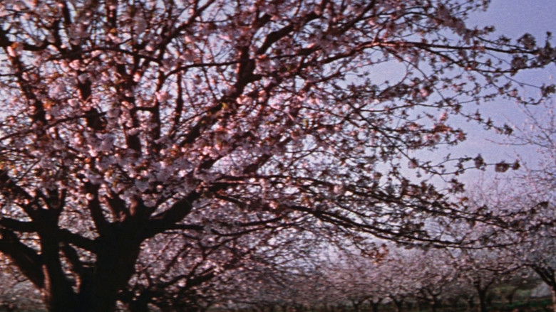 Image d'arrière-plan 8 du film La Vie passionnée de Vincent Van Gogh