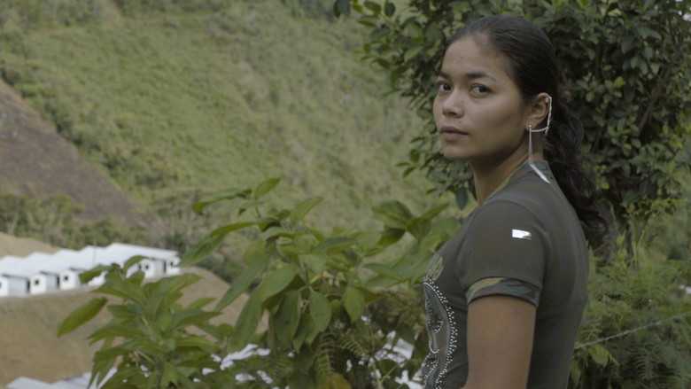 Imatge de Provisorum