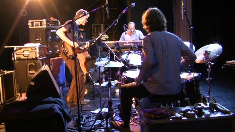 Medeski Martin & Wood - Radiolarians. The Evolutionary Set