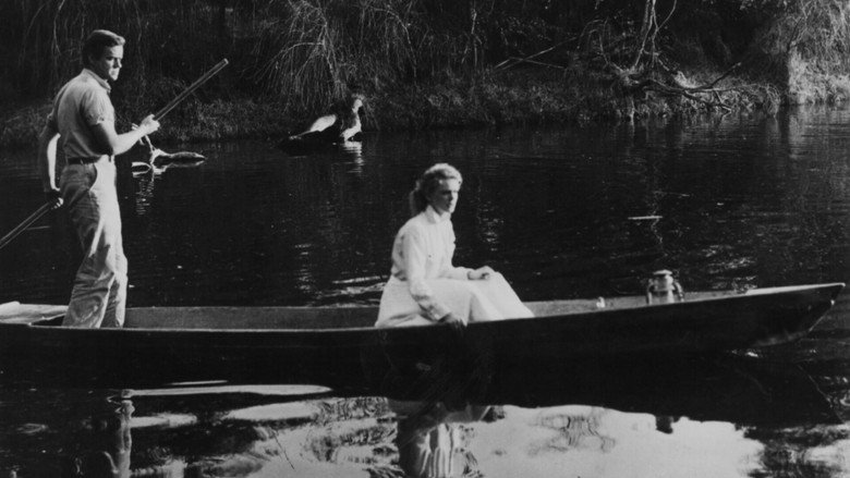 Lure of the Swamp 1