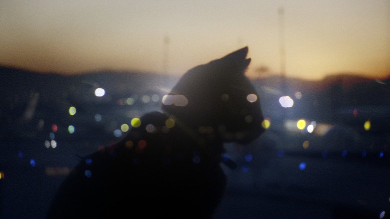 Somos animales still 1