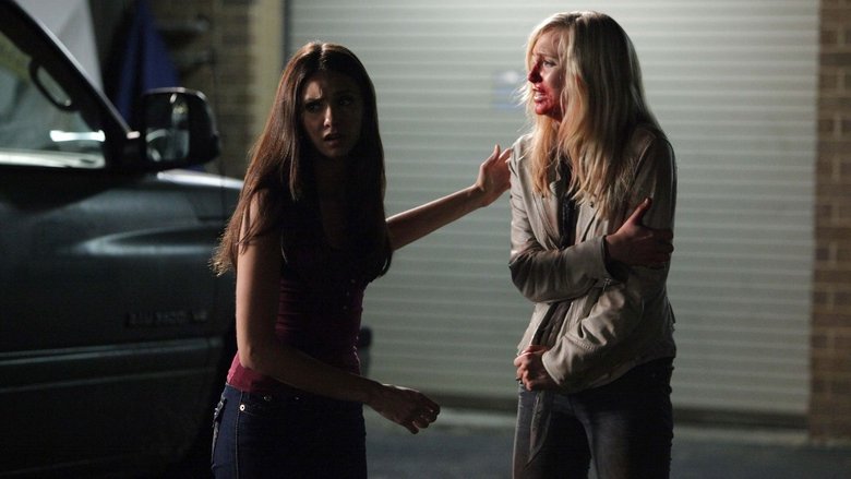 vampire diarie saison 2 episode 19 vampire diarie saison 2 episode 19