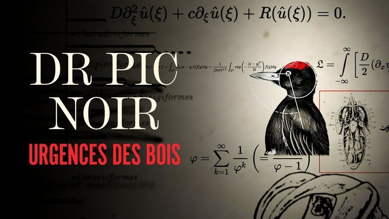 Dr Pic Noir, urgence des bois (2023)