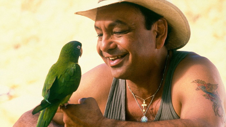 Image d'arrière-plan 10 du film Paulie, le perroquet qui parlait trop