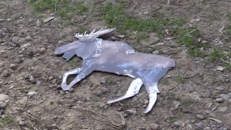 Gallery image from 7MnPwHqsjc1nr8ieA49wCdAkcnx.jpg