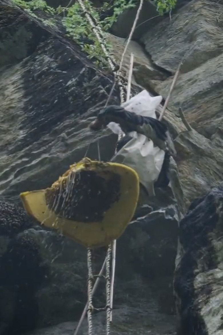 Imatge de The Last Honey Hunter