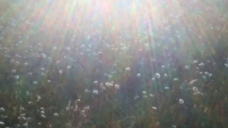 scenes 1