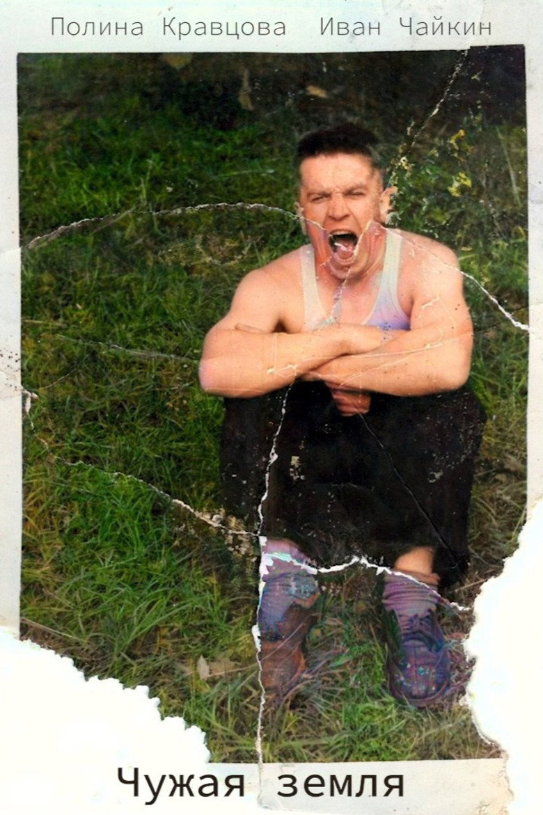 Imatge de The foreign land