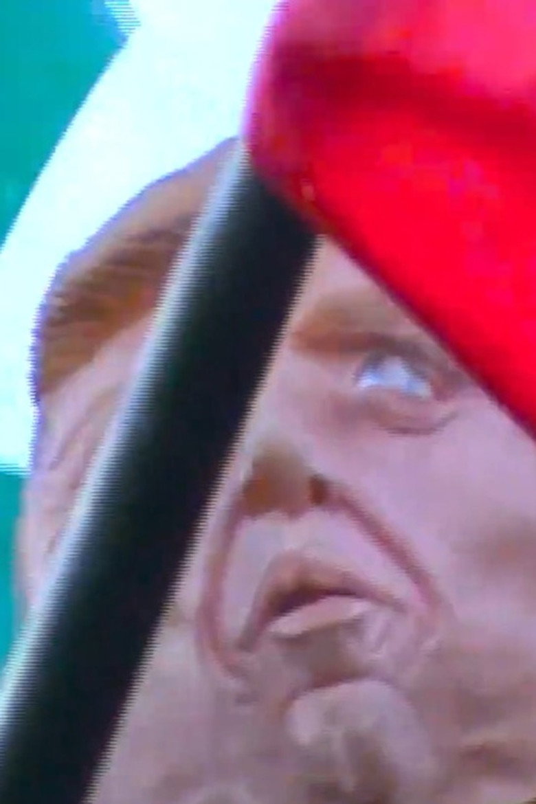 Imatge de cabeça no mar de bandeiras