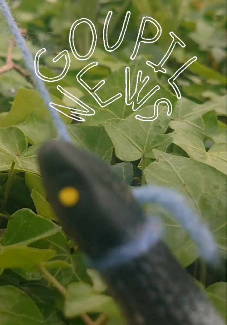 Goupil News