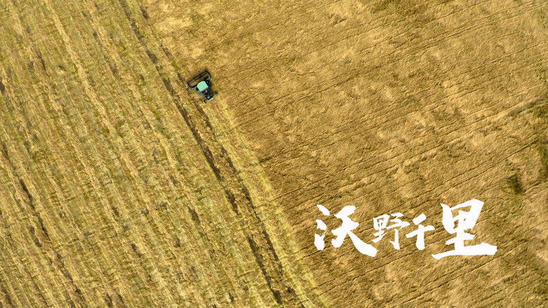 Still image for 知味兴安盟 season 1 episode 4: Episode 4