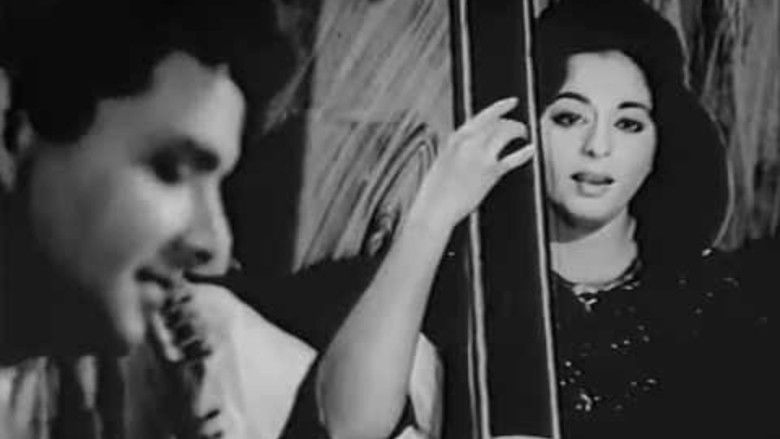 Gallery image from 7OHeBhcUdOPzIjVLivDuRVuCwXN.jpg