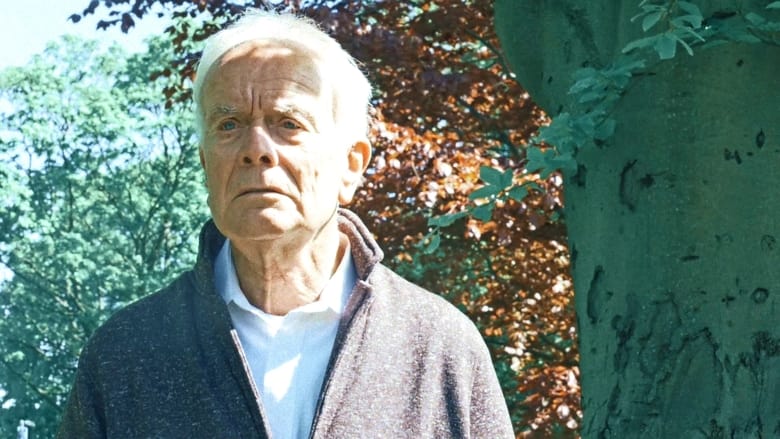 series gato: Ver película Letterhead 2021 gratis