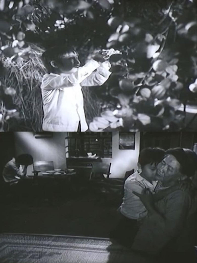 Imatge de Khi vắng bà