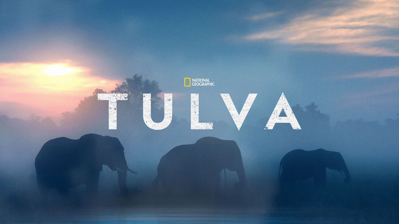 Gallery image from 7OpEG9PcWLzkzw2NlcIkCkOMixj.jpg